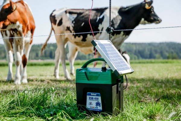 ESB 450 Battery Energiser