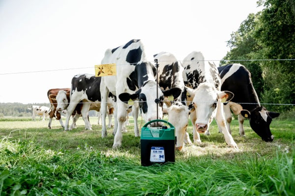 Professional ESB 700 Battery Energiser