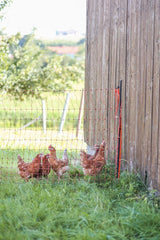 Support Post for Field Netting