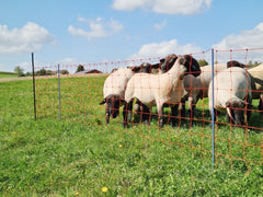 Support Post for Field Netting