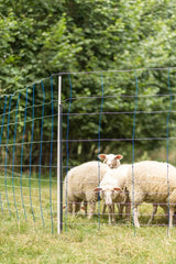 Support Post for Field Netting