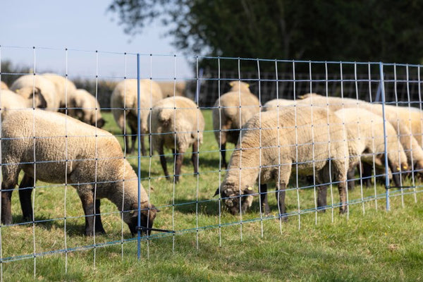 Supplementary Set for Pasture Nets WolfStop
