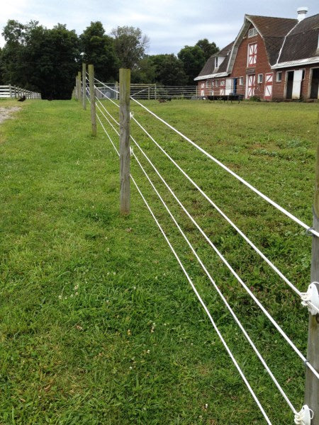 Premium Horse Wire 250m