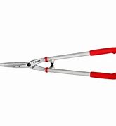 Professional Hedge Shears