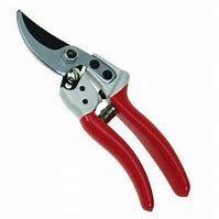 Expert Bypass Pruner
