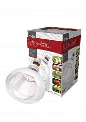 Interheat Watt Bulbs (Single)