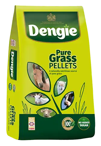 Dengie Grass Pellets
