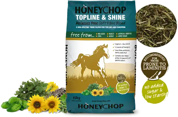 Honeychop Topline & Shine
