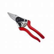 Expert Bypass Pruner