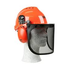 Forestry Helmet