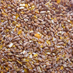 CAF Mixed Corn