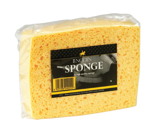 Lincoln Sponge